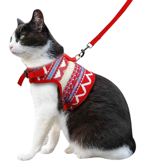 Coleiras e Acessórios